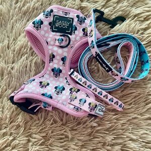 Sassy Woof Mini Mouse harness set